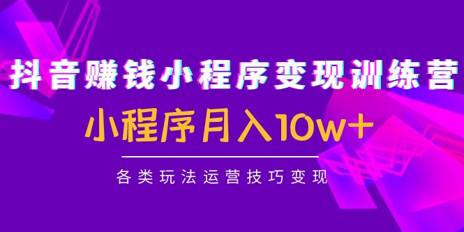抖音赚钱小程序变现训练营:小程序月入10w+各类玩法运营技巧变现-靠谱项目库