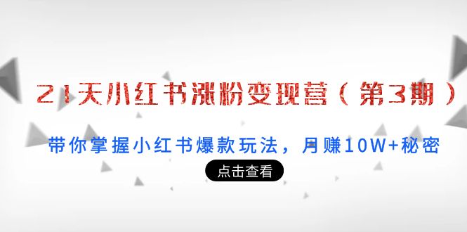 21天小红书涨粉变现营：带你掌握小红书爆款玩法，月赚10W+秘密-靠谱项目库