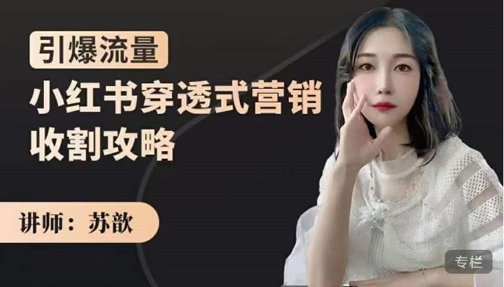 苏歆：小红书穿透式营销收割攻略，引爆流量，助你玩转小红书-靠谱项目库