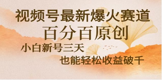 视频号独家玩法,老年养生赛道,无脑搬运爆款视频,日入2000+-靠谱项目库