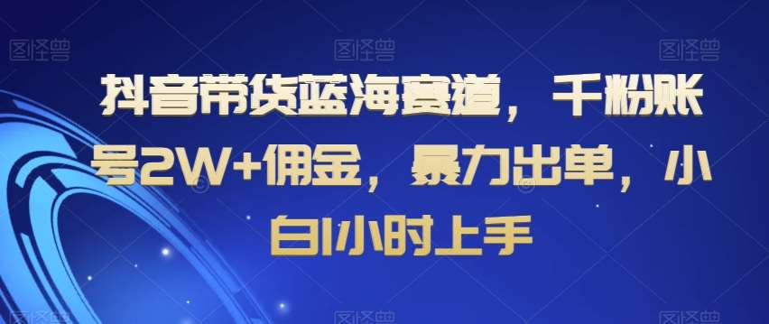抖音带货蓝海赛道，千粉账号2W+佣金，暴力出单，小白1小时上手【揭秘】-靠谱项目库