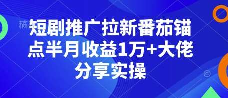 短剧推广拉新番茄锚点半月收益1万+大佬分享实操-靠谱项目库
