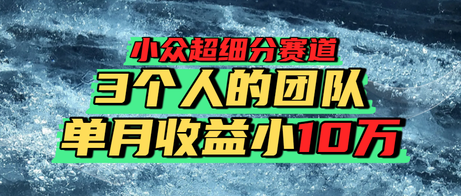 小众超细分赛道，一年百万利润的盘子！-靠谱项目库