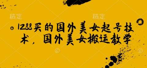 1288买的国外美女起号技术，国外美女搬运教学-靠谱项目库
