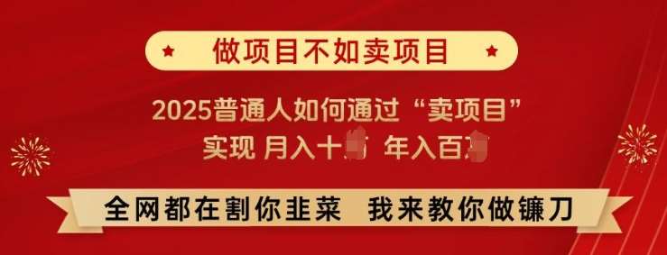 必看!做项目不如卖项目，2025普通人如何通过“卖项目”实现月入十个，年入百个【揭秘】-靠谱项目库