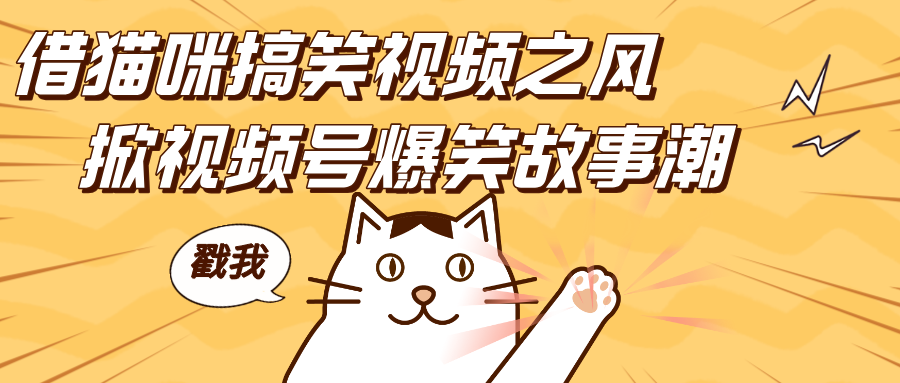 借猫咪搞笑视频之风，掀视频号爆笑故事潮，轻松日赚四位数，开启无门槛赚钱新体验！-靠谱项目库
