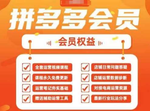 2025拼多多运营实战课，40节全流程教学，覆盖拼多多运营全链路-靠谱项目库