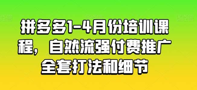 拼多多1-4月份培训课程,自然流强付费推广全套打法和细节-靠谱项目库