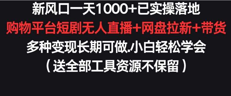 新风口一天1000+已实操落地购物平台短剧无人直播+网盘拉新+带货多种变现长期可做【揭秘】-靠谱项目库