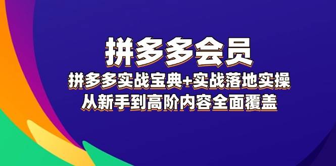 （12056期）拼多多 会员，拼多多实战宝典+实战落地实操，从新手到高阶内容全面覆盖-靠谱项目库