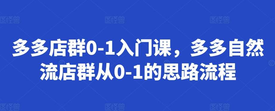 多多店群0-1入门课，多多自然流店群从0-1的思路流程-靠谱项目库
