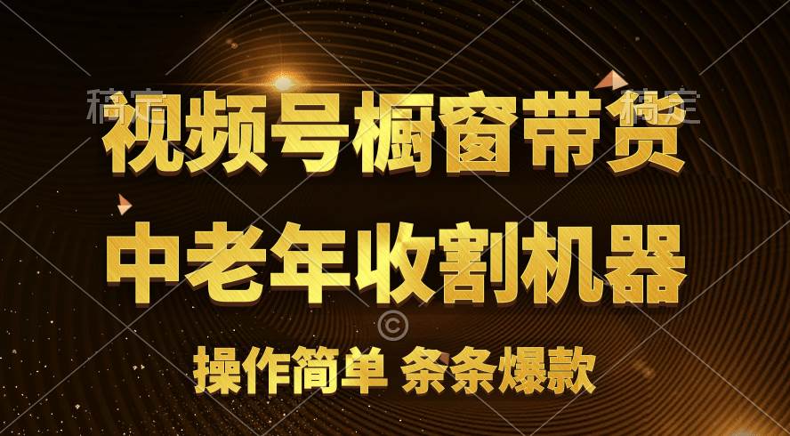 （11009期）[你的孩子成功取得高位]视频号最火爆赛道，橱窗带货，流量分成计划，条…-靠谱项目库