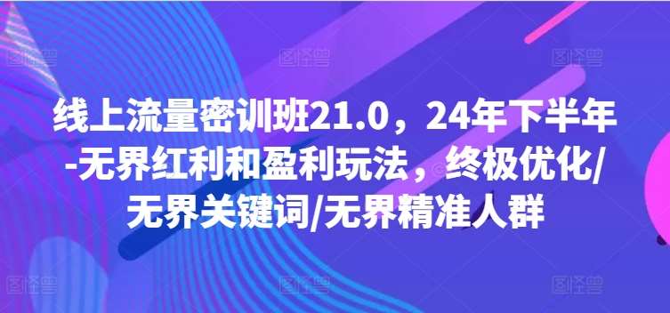 线上流量密训班21.0，24年下半年-无界红利和盈利玩法，终极优化/无界关键词/无界精准人群-靠谱项目库
