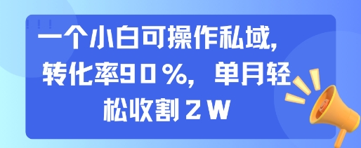 一个小白可操作私域，转化率90%，单月轻松收割2W-靠谱项目库