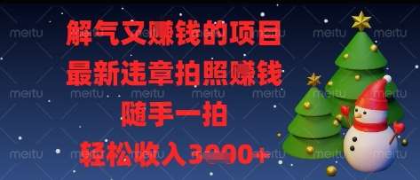 解气又挣钱的项目，最新违章拍照挣钱，随手一拍，轻松收入多张【揭秘】-靠谱项目库