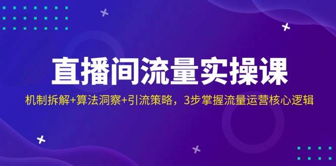 （14122期）直播间流量实操课：机制拆解+算法洞察+引流策略，3步掌握流量运营核心逻辑-靠谱项目库