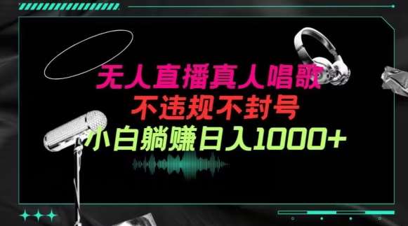 抖音24小时无人直播音乐，不违规，不封号纯撸音浪，小白实操当天日入1000+【揭秘】-靠谱项目库