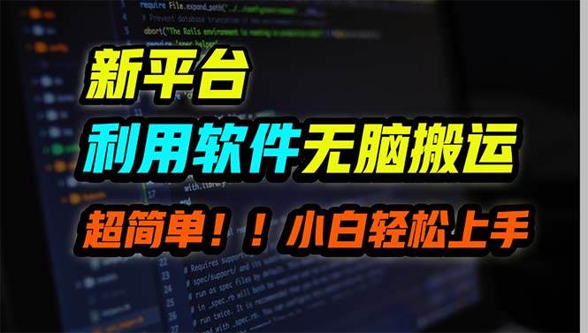 (9745期)新平台用软件无脑搬运,月赚10000+,小白也能轻松上手-靠谱项目库