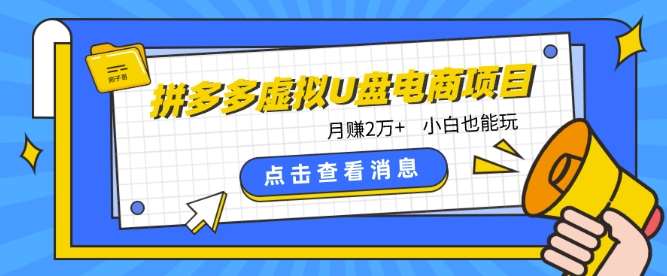 拼多多虚拟U盘电商红利项目：月赚2万+，新手小白也能玩-靠谱项目库