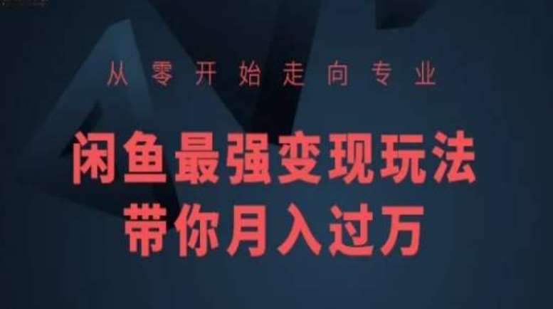 从零开始走向专业，闲鱼最强变现玩法带你月入过万-靠谱项目库