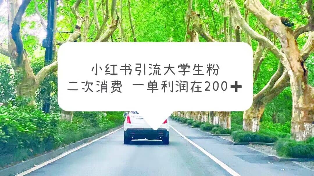 小红书引流大学生粉，变现项目，一单利润在200+（教程+资源）-靠谱项目库