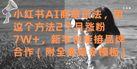 小红书AI商单玩法，用这个方法2个月涨粉7W+，新手也能接品牌合作(附全套指令模板)-靠谱项目库