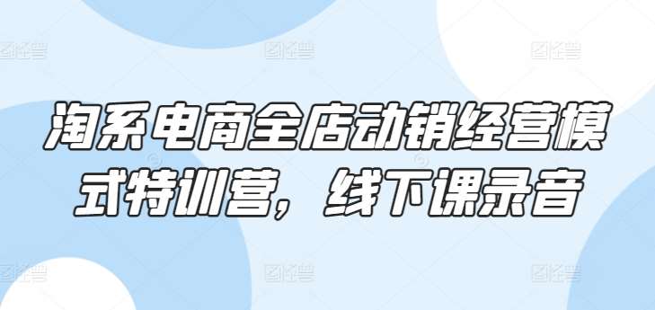 淘系电商全店动销经营模式特训营，线下课录音-靠谱项目库