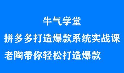 牛气学堂拼多多打造爆款系统实战课,老陶带你轻松打造爆款-靠谱项目库