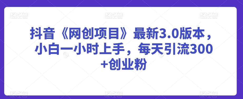 抖音《网创项目》最新3.0版本,小白一小时上手,每天引流300+创业粉【揭秘】-靠谱项目库