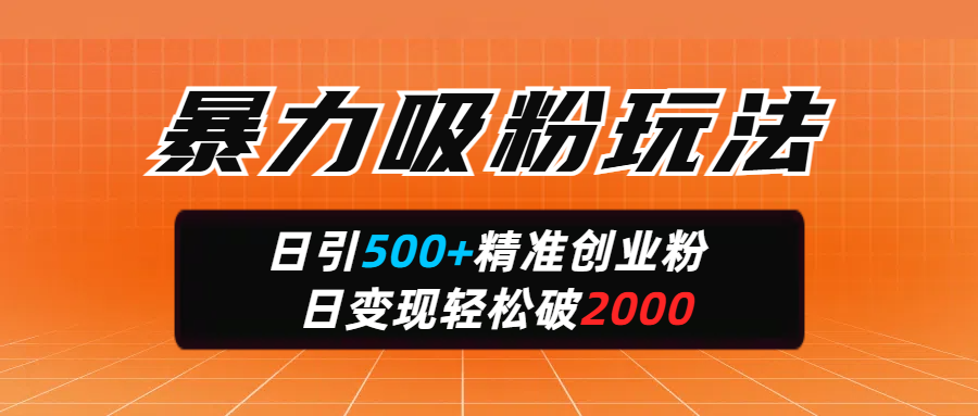 暴力吸粉玩法,日引500+精准创业粉,日变现轻松破2000-靠谱项目库