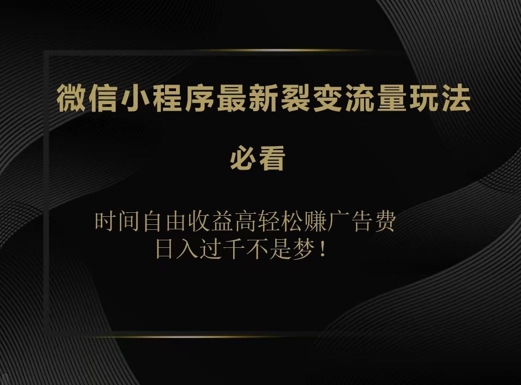 微信小程序最新裂变流量玩法,时间自由收益高轻松赚广告费,日入200-500+-靠谱项目库