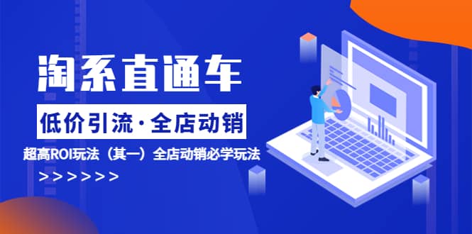 淘系直通车《低价·引流 全店·动销》超高ROI玩法（其一）全店动销必学玩法-靠谱项目库