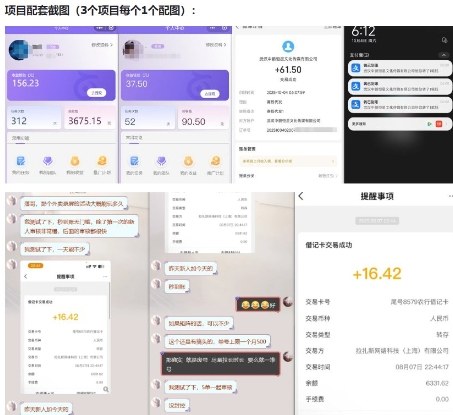 图片[2]-当天能收益的3个小项目拆解_包括平台+操作流程-靠谱项目库