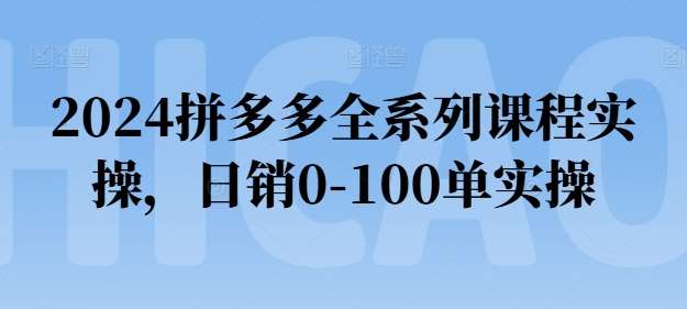 2024拼多多全系列课程实操，日销0-100单实操【必看】-靠谱项目库