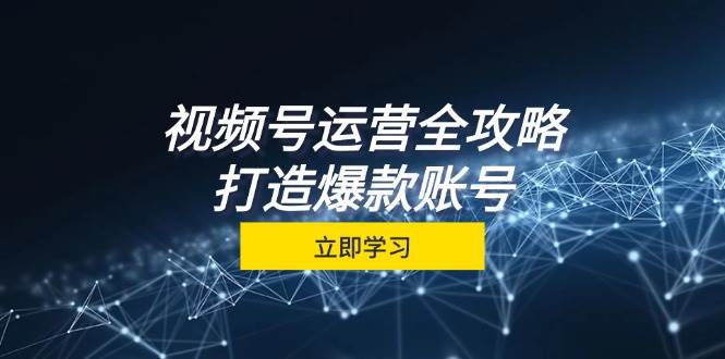 （12912期）视频号运营全攻略，从定位到成交一站式学习，视频号核心秘诀，打造爆款…-靠谱项目库