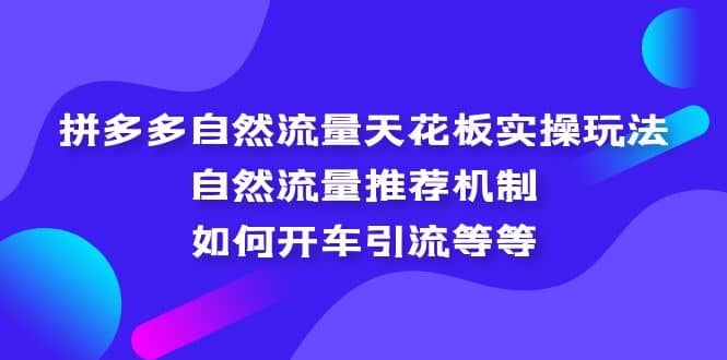 拼多多自然流量天花板实操玩法:自然流量推荐机制,如何开车引流等等-靠谱项目库