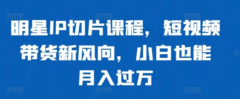 明星IP切片课程，短视频带货新风向，小白也能月入过万-靠谱项目库