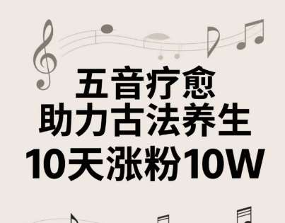 古法五音养生教程,五音疗愈的视频的制作方法,2-4小时就能学会,作者10天涨粉10W-靠谱项目库