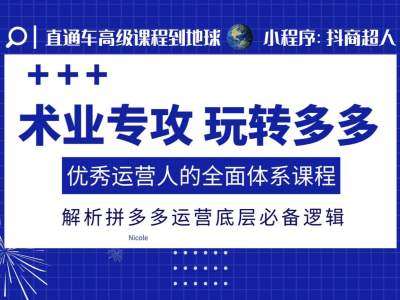 术业专攻玩转多多,优秀运营人的全面体系课程,解析拼多多运营底层必备逻辑-靠谱项目库