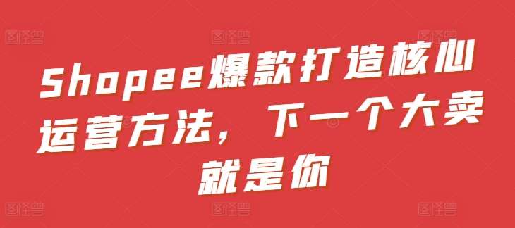 Shopee爆款打造核心运营方法,下一个大卖就是你-靠谱项目库