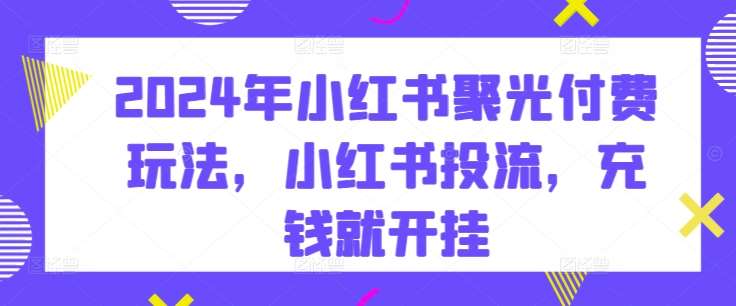 2024年小红书聚光付费玩法，小红书投流，充钱就开挂-靠谱项目库