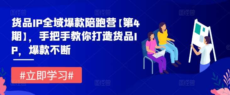 货品IP全域爆款陪跑营【第4期】，手把手教你打造货品IP，爆款不断-靠谱项目库