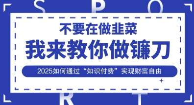 韭菜生涯终结者，我来教你做镰刀，2025如何通过“知识付费”实现财F自由【揭秘】-靠谱项目库