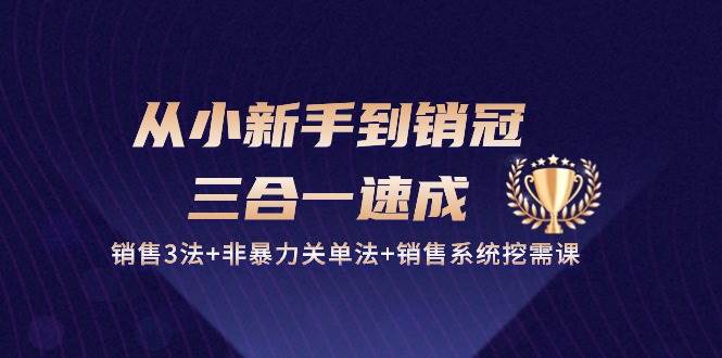 从小新手到销冠三合一速成：销售3法+非暴力关单法+销售系统挖需课 (27节)-靠谱项目库