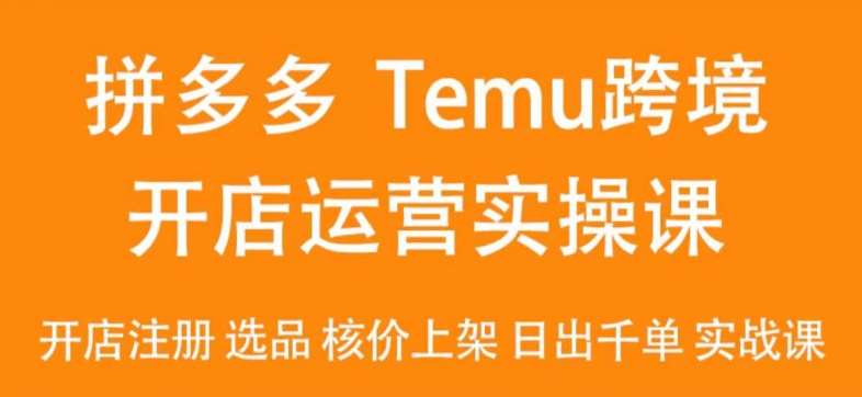 2024Temu最新玩法，Temu跨境开店运营实操课，开店注册/选品/核价上架/日出千单实战课-靠谱项目库
