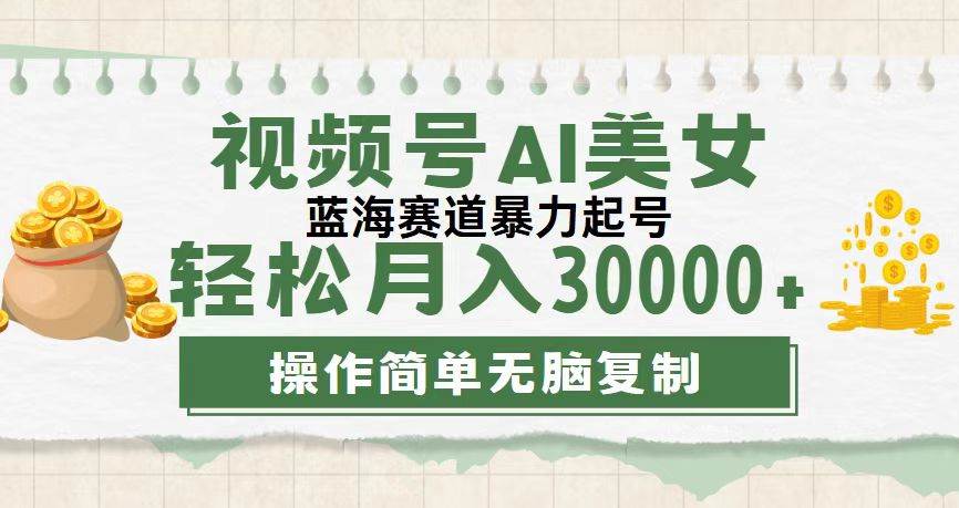（12087期）视频号AI美女跳舞，轻松月入30000+，蓝海赛道，流量池巨大，起号猛，无…-靠谱项目库