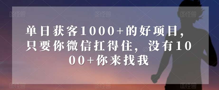 单日获客1000+的好项目，只要你微信扛得住，没有1000+你来找我【揭秘】-靠谱项目库