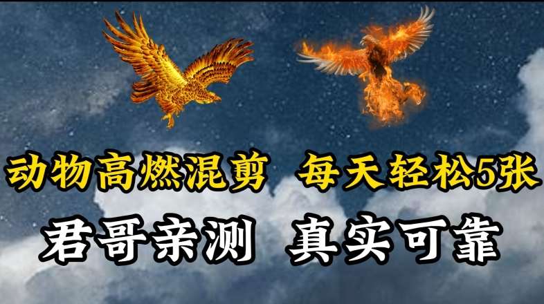 动物超燃混剪，每天轻松5张，剪辑简单大家爱看【揭秘】-靠谱项目库