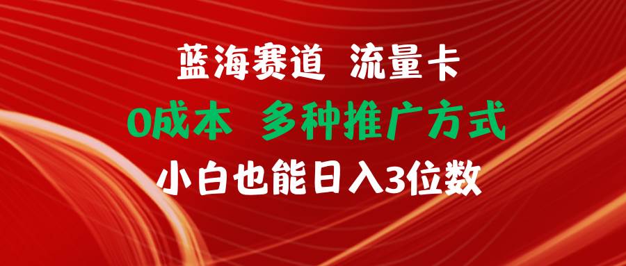 （11768期）蓝海赛道 流量卡 0成本 小白也能日入三位数-靠谱项目库