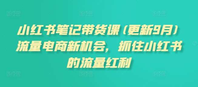 小红书笔记带货课(更新9月)流量电商新机会，抓住小红书的流量红利-靠谱项目库